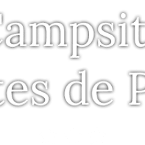 Camping Les Routes de Provence 